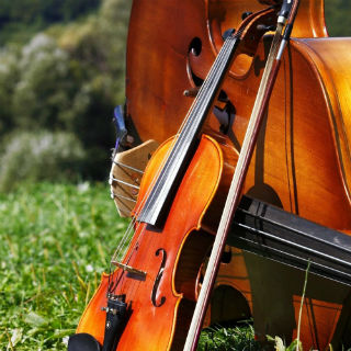 Humingbird-Music-Academy-Cello-Violin-320